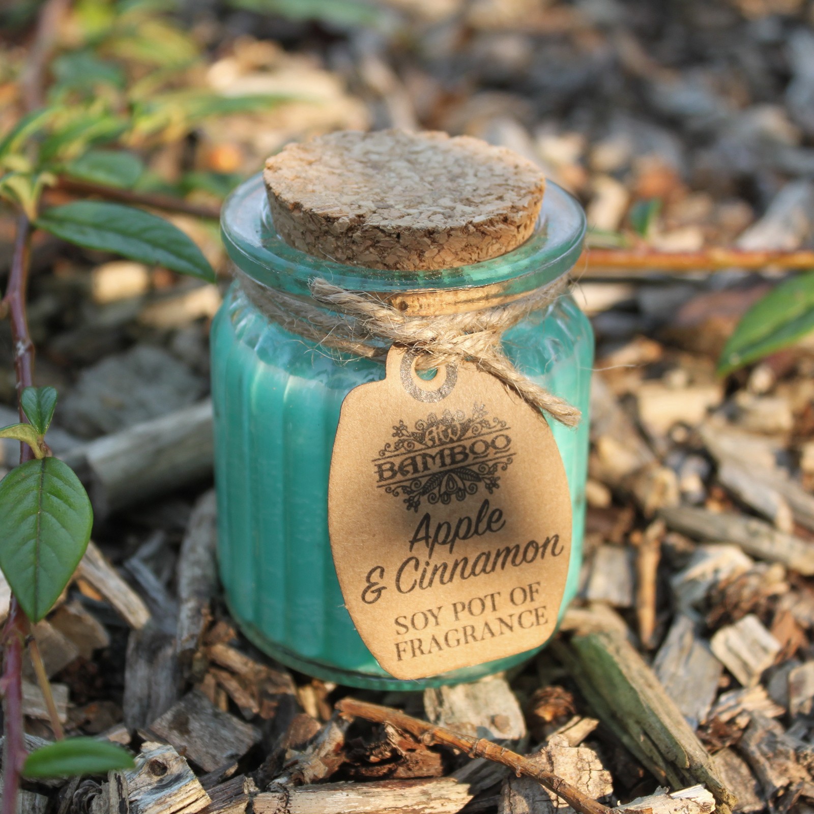Ancient Wisdom Sójová Vonná Svíčka - Jablko a Skořice 60g