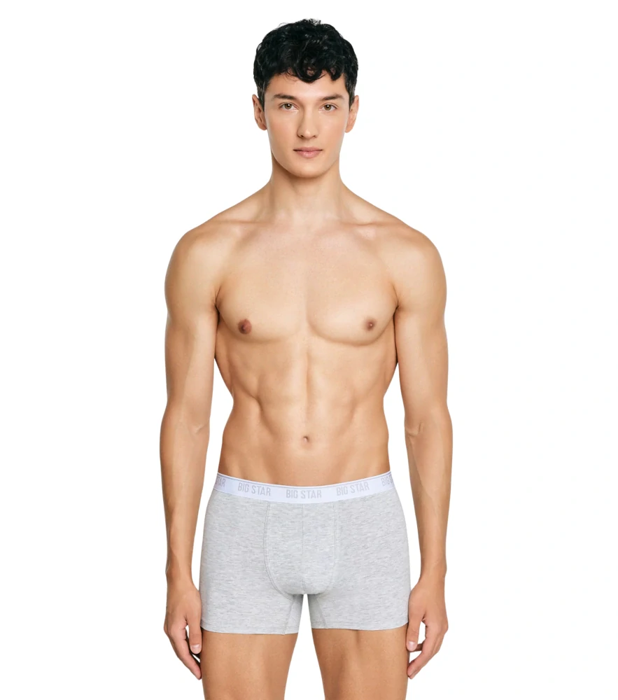 Big Star ARAGON 901 Boxer 3 PACK Grey
