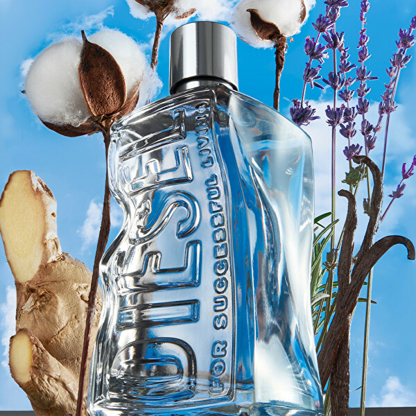 Diesel D BY Diesel Pánská Sada EDT 100 ML + 2x75 ML S/G