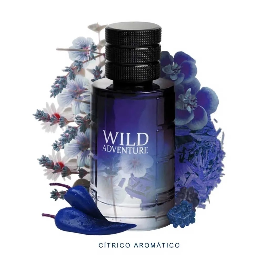 Linn Young Wild Adventure Men EDT 100 ml