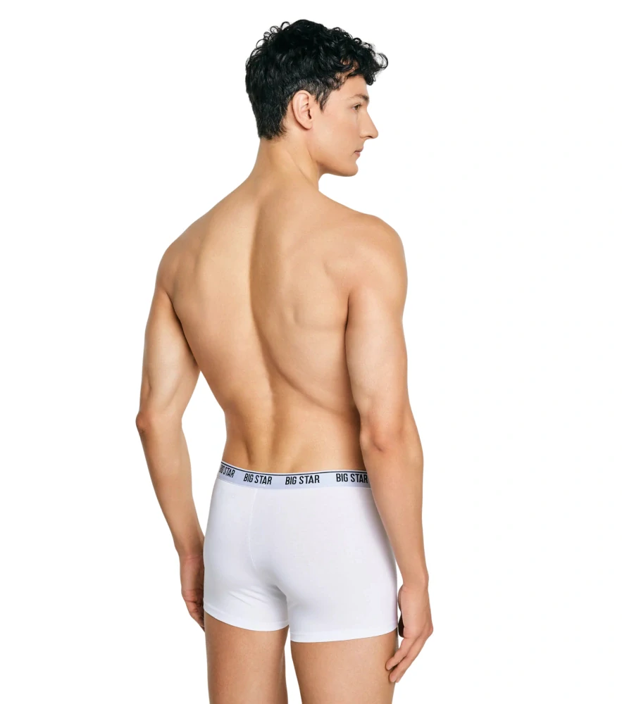Big Star ARAGON 101 Boxer 3 PACK White