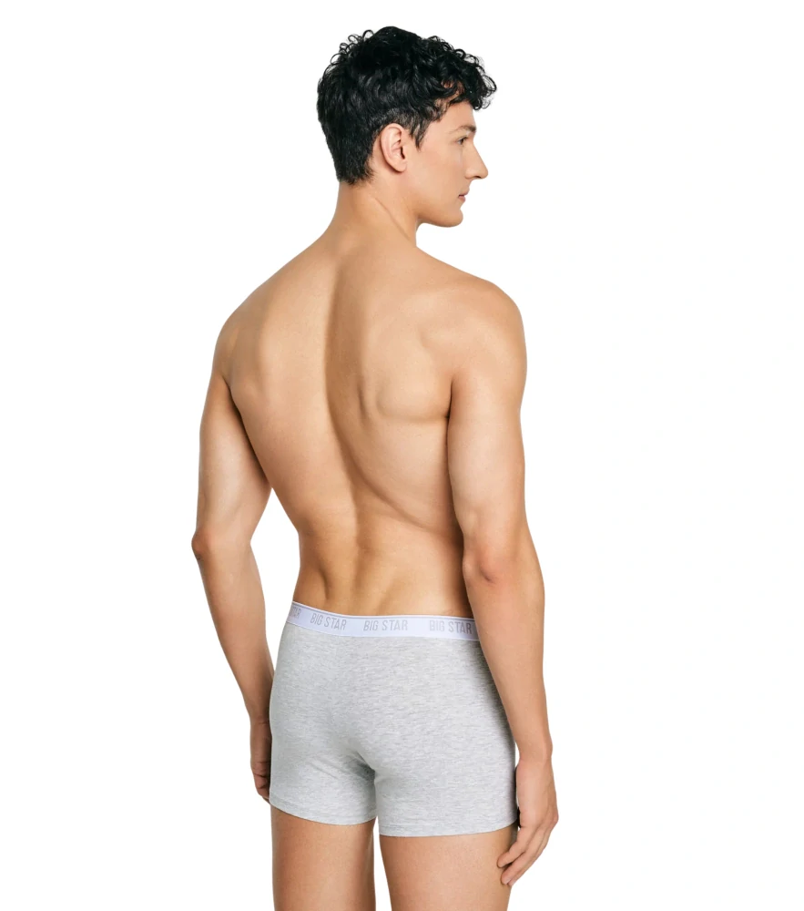 Big Star ARAGON 901 Boxer 3 PACK Grey